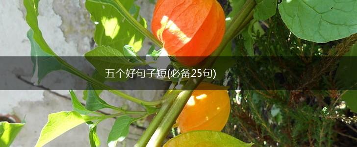 五个好句子短(必备25句),第1张