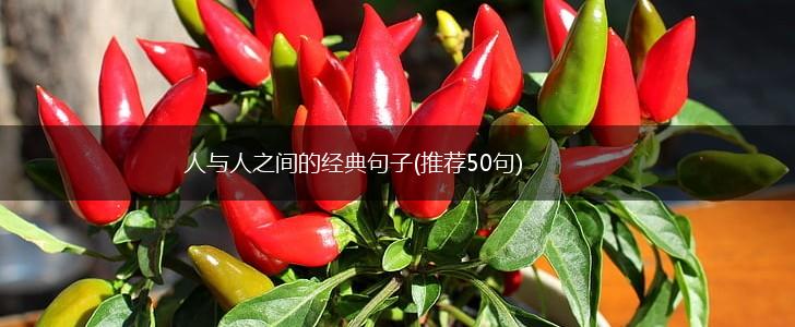 人与人之间的经典句子(推荐50句),第1张