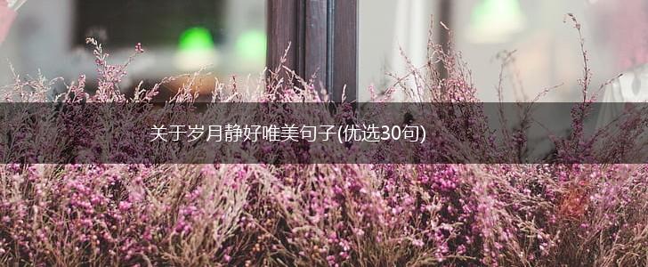 关于岁月静好唯美句子(优选30句),第1张