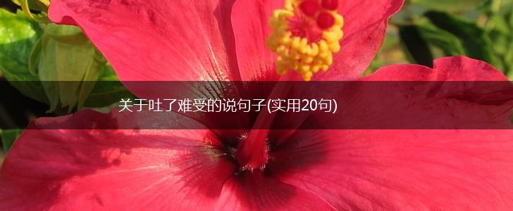 关于吐了难受的说句子(实用20句),第1张