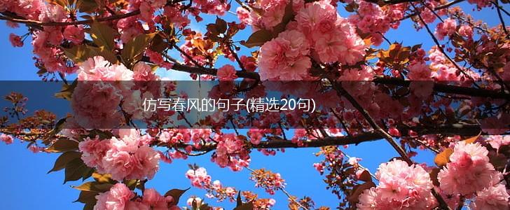 仿写春风的句子(精选20句),第1张