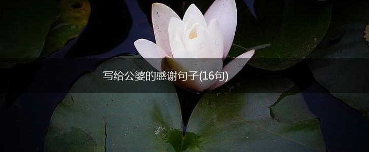写给公婆的感谢句子(16句),第1张