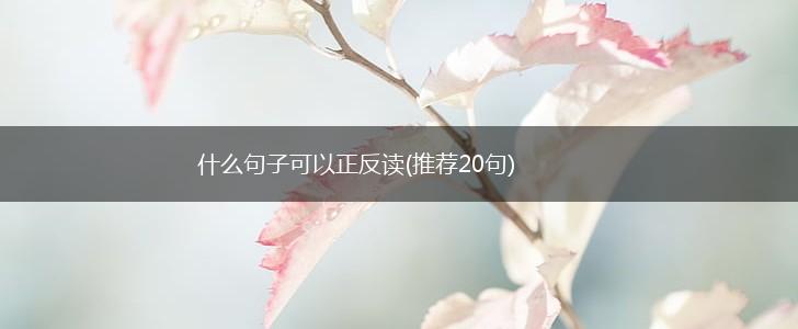 什么句子可以正反读(推荐20句),第1张