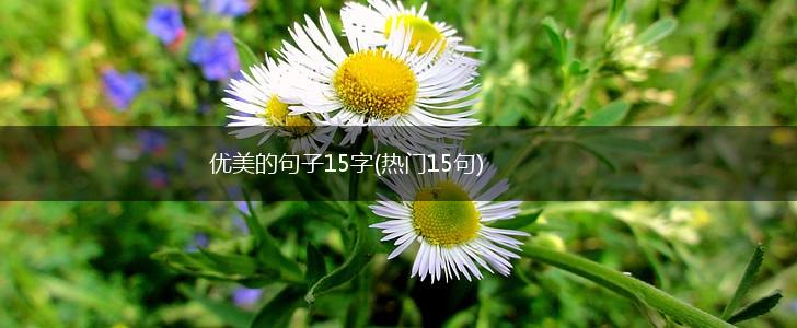 优美的句子15字(热门15句),第1张