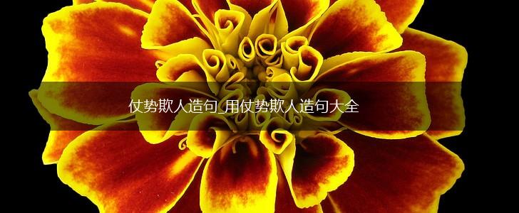 仗势欺人造句_用仗势欺人造句大全,第1张