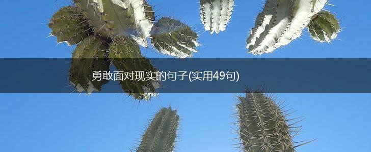 勇敢面对现实的句子(实用49句),第1张