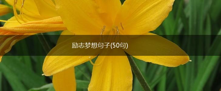 励志梦想句子(50句),第1张