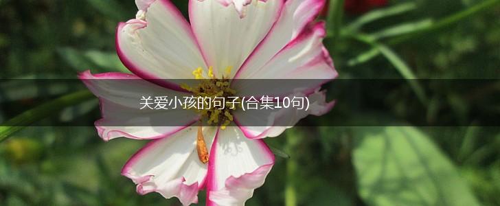 关爱小孩的句子(合集10句),第1张