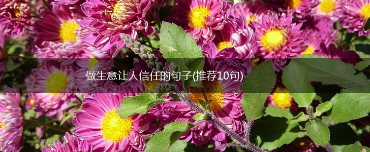 做生意让人信任的句子(推荐10句),第1张