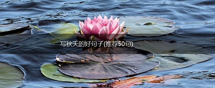 写秋天的好句子(推荐50句),第1张