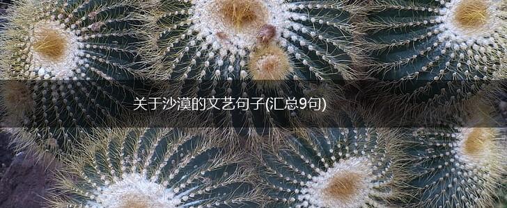 关于沙漠的文艺句子(汇总9句),第1张