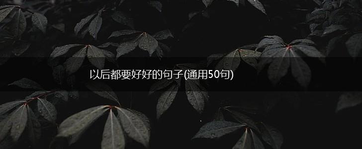 以后都要好好的句子(通用50句),第1张