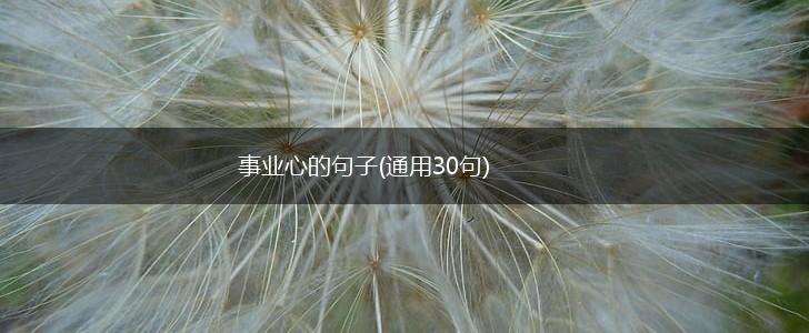 事业心的句子(通用30句),第1张