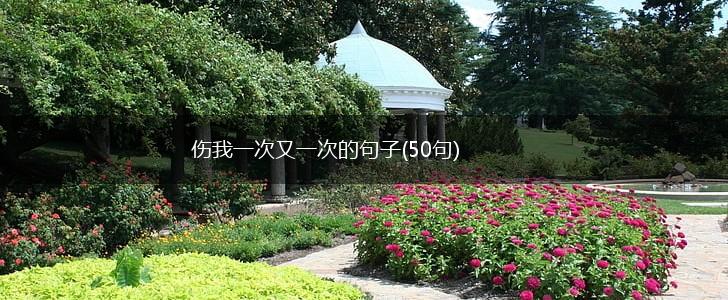 伤我一次又一次的句子(50句),第1张