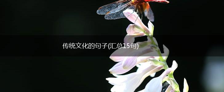 传统文化的句子(汇总15句),第1张