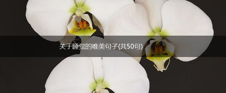 关于睡觉的唯美句子(共50句),第1张