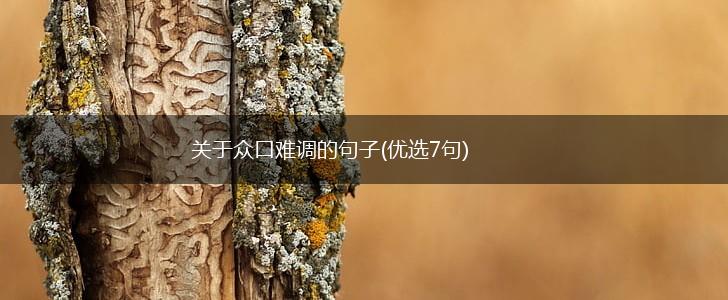 关于众口难调的句子(优选7句),第1张