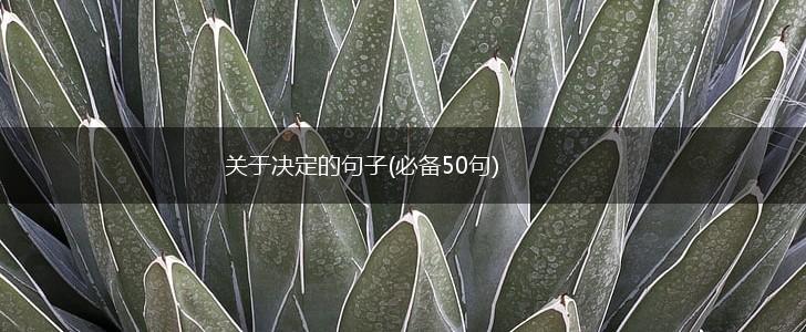 关于决定的句子(必备50句),第1张