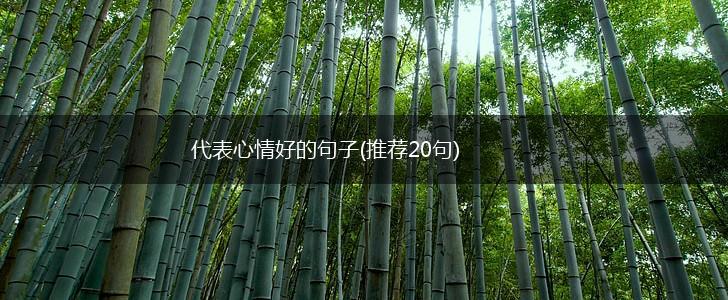 代表心情好的句子(推荐20句),第1张