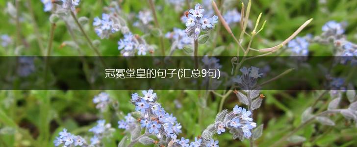 冠冕堂皇的句子(汇总9句),第1张