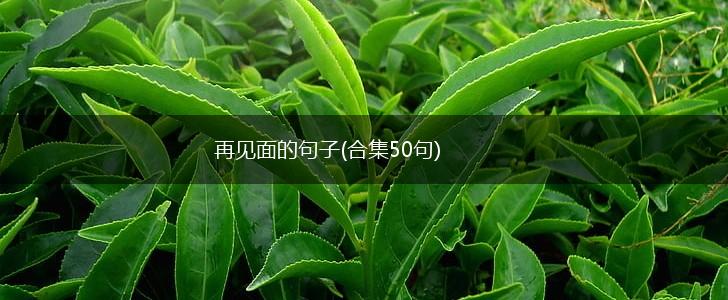 再见面的句子(合集50句),第1张