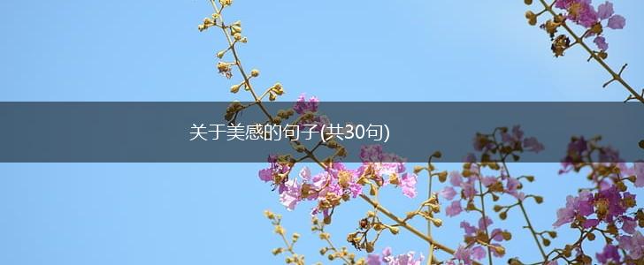 关于美感的句子(共30句),第1张
