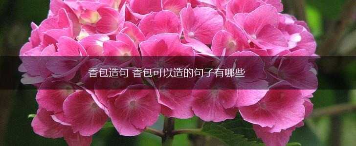 香包造句 香包可以造的句子有哪些,第1张