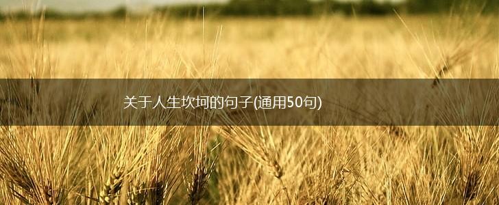 关于人生坎坷的句子(通用50句),第1张