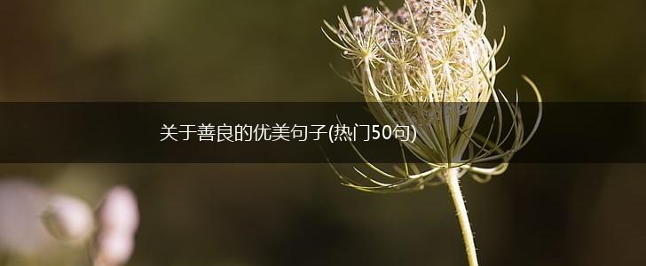 关于善良的优美句子(热门50句),第1张