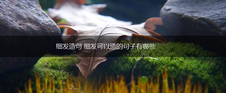 细发造句 细发可以造的句子有哪些,第1张