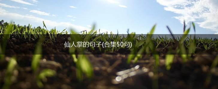 仙人掌的句子(合集50句),第1张