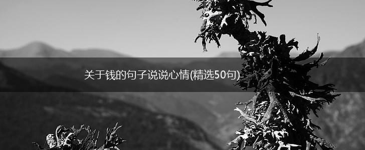 关于钱的句子说说心情(精选50句),第1张
