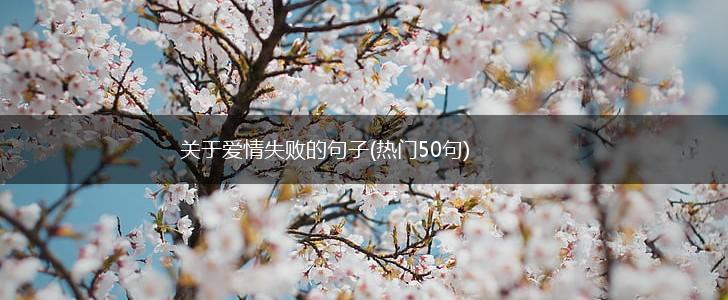 关于爱情失败的句子(热门50句),第1张