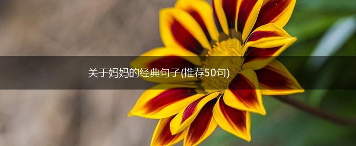 关于妈妈的经典句子(推荐50句),第1张
