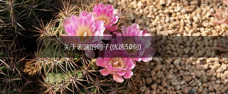 关于表演的句子(优选50句),第1张