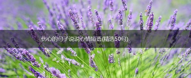 伤心的句子说说心情短语(精选50句),第1张