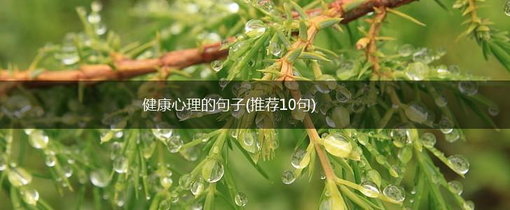 健康心理的句子(推荐10句),第1张