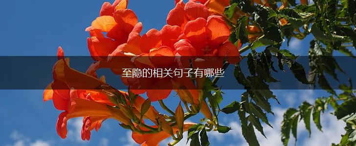 至隐的相关句子有哪些,第1张