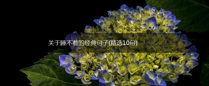 关于睡不着的经典句子(精选10句),第1张