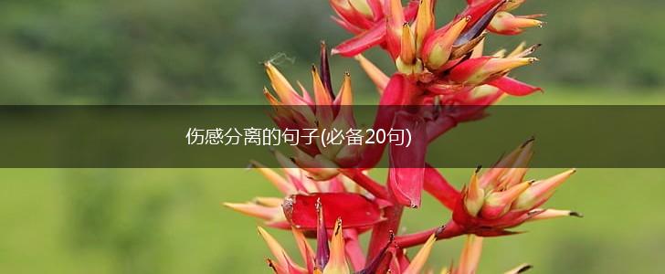 伤感分离的句子(必备20句),第1张
