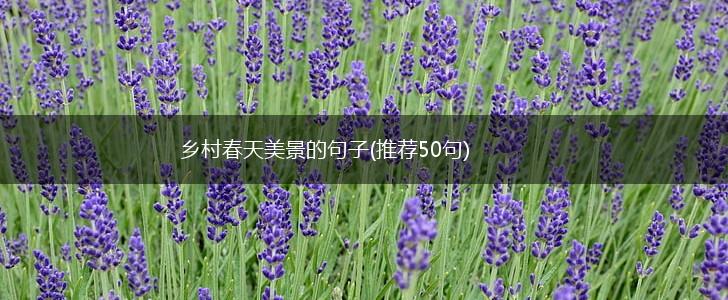 乡村春天美景的句子(推荐50句),第1张