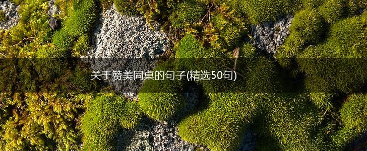 关于赞美同桌的句子(精选50句),第1张
