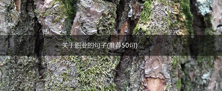 关于职业的句子(推荐50句),第1张
