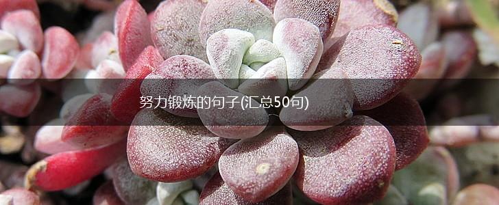 努力锻炼的句子(汇总50句),第1张