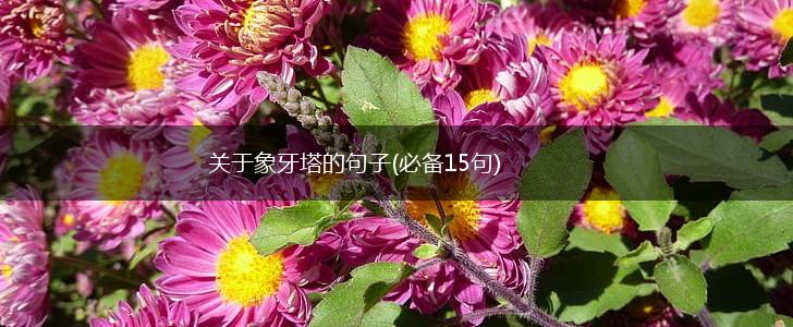 关于象牙塔的句子(必备15句),第1张