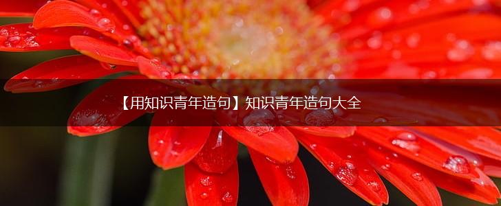 【用知识青年造句】知识青年造句大全,第1张