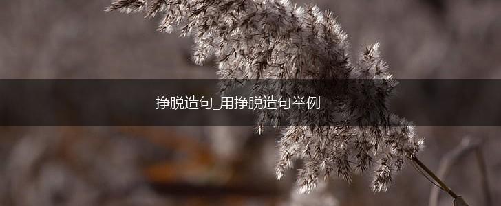 挣脱造句_用挣脱造句举例,第1张
