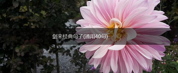 剑来经典句子(通用40句),第1张
