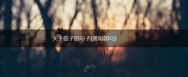 关于骰子的句子(通用20句),第1张