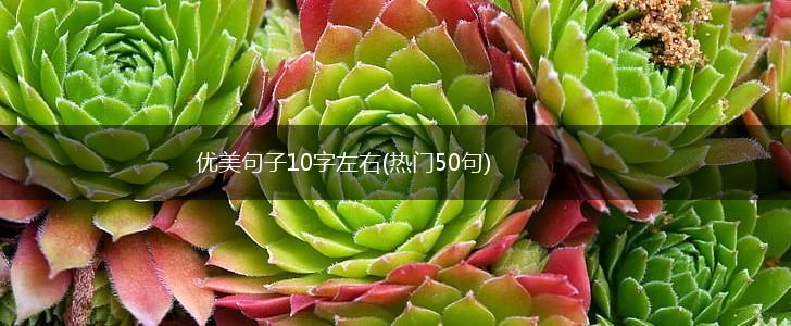 优美句子10字左右(热门50句),第1张